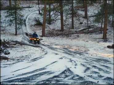 Rider on Honda Recon 250 riding down snow covered ATV trail.