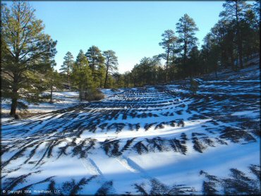 A scenic view of snow covered ATV trails with pine trees.