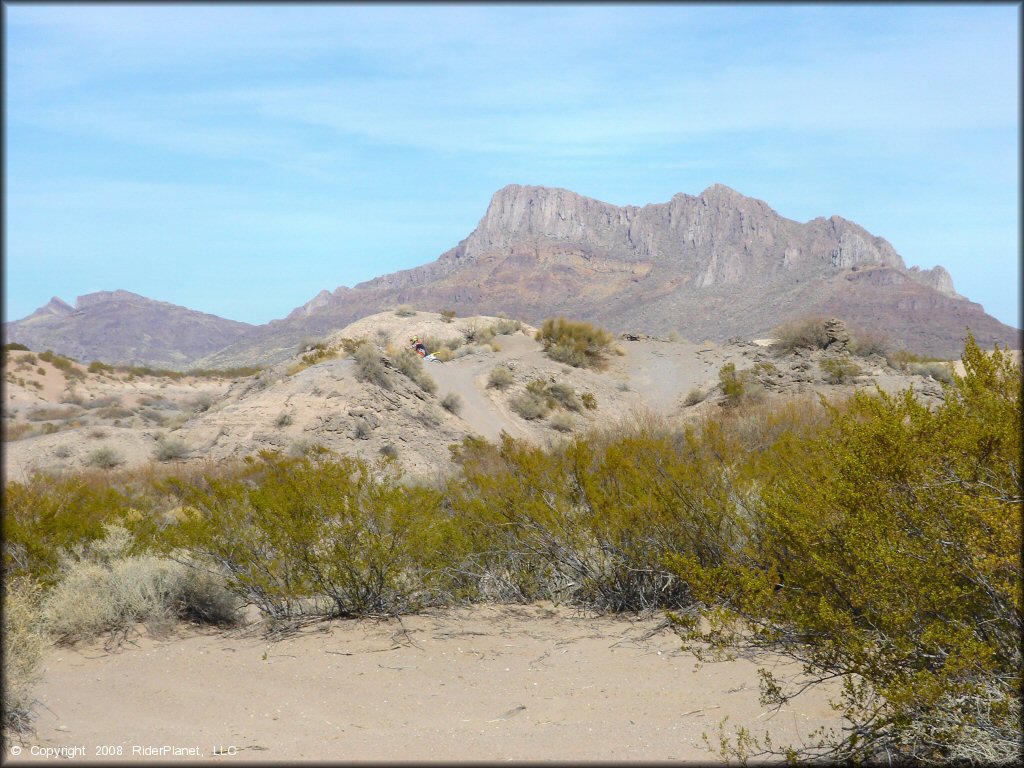 Scenic view of Hot Well Dunes OHV Area