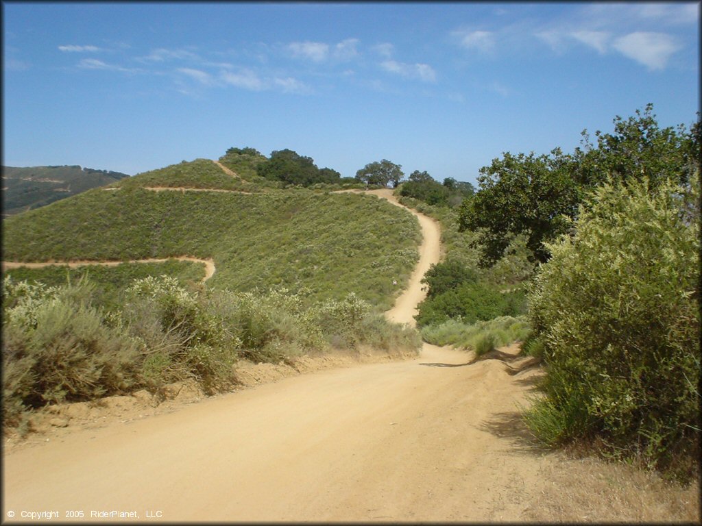 A trail at Hollister Hills SVRA OHV Area