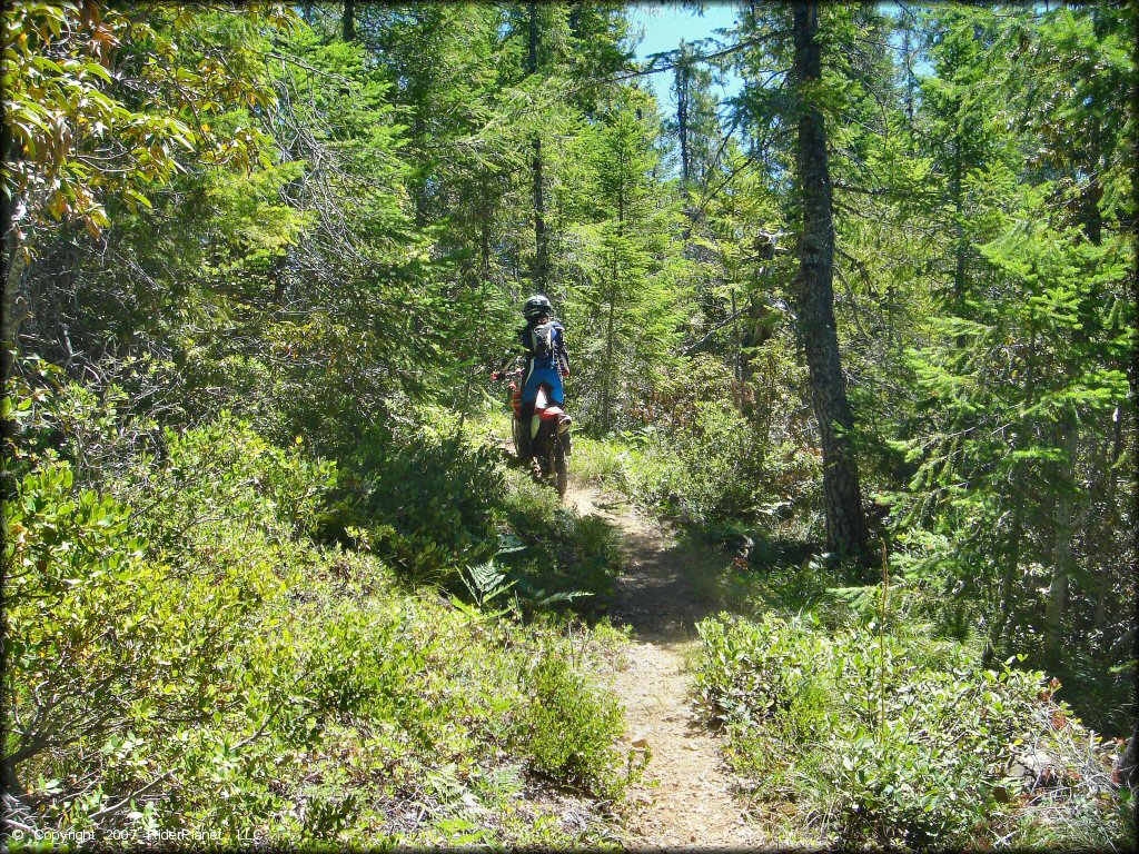 Girl on a Honda CRF Trail Bike at High Dome Trail