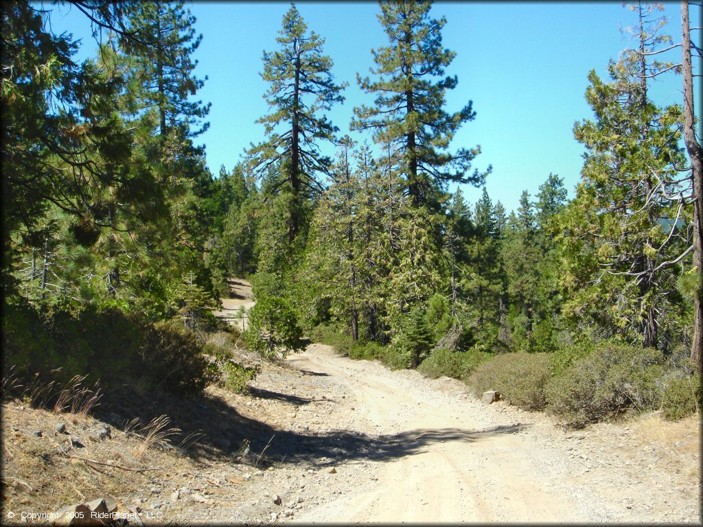 A trail at Gold Note Trails