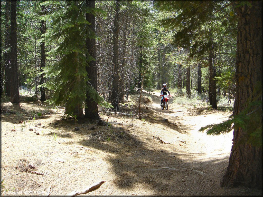 Honda CRF Motorbike at Twin Peaks And Sand Pit Trail