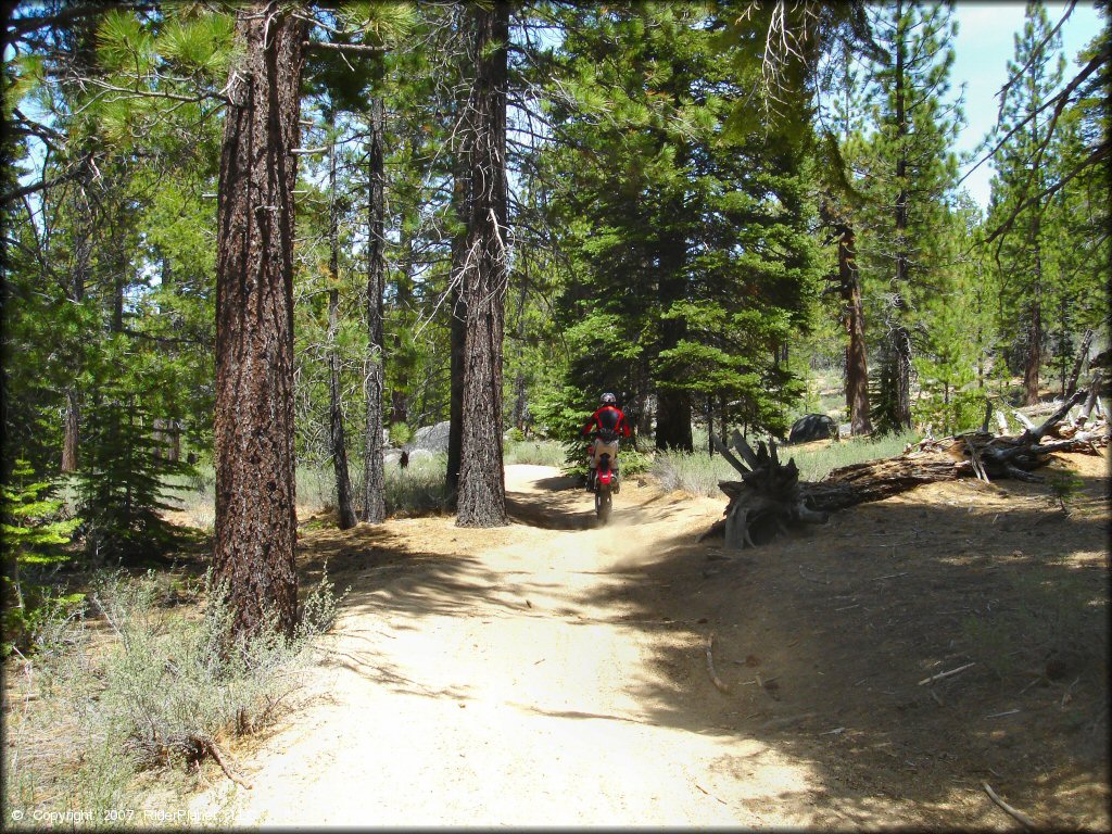 Honda CRF Motorcycle doing a wheelie at Twin Peaks And Sand Pit Trail