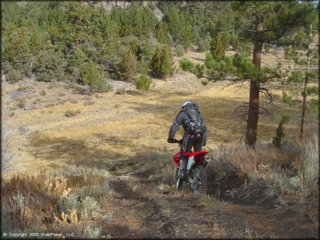 Honda CRF Trail Bike at Leviathan Recreation Area Trail