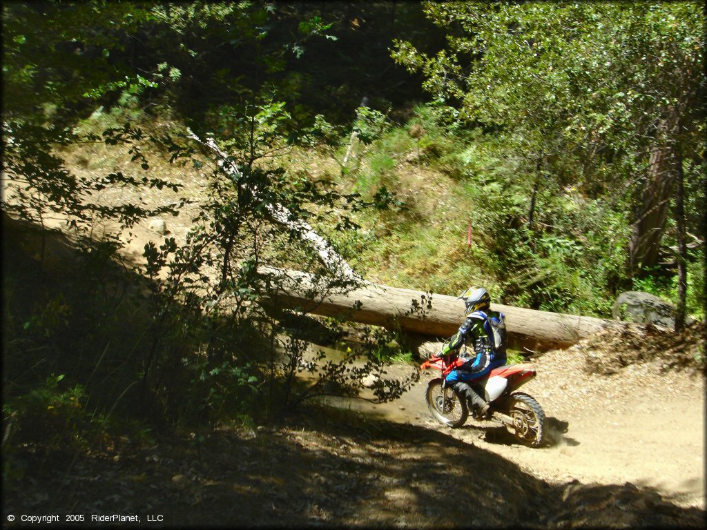 Honda CRF Dirt Bike in the water at Miami Creek OHV Area Trail