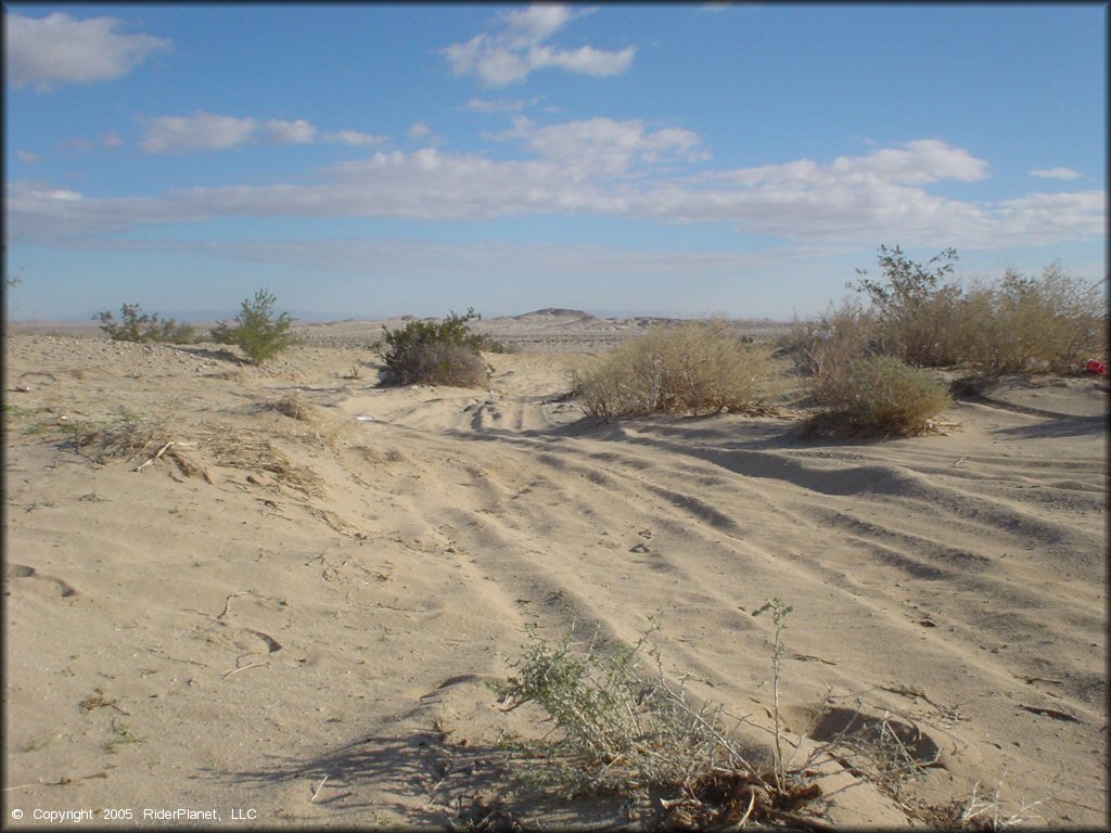 Ocotillo Wells SVRA Trail