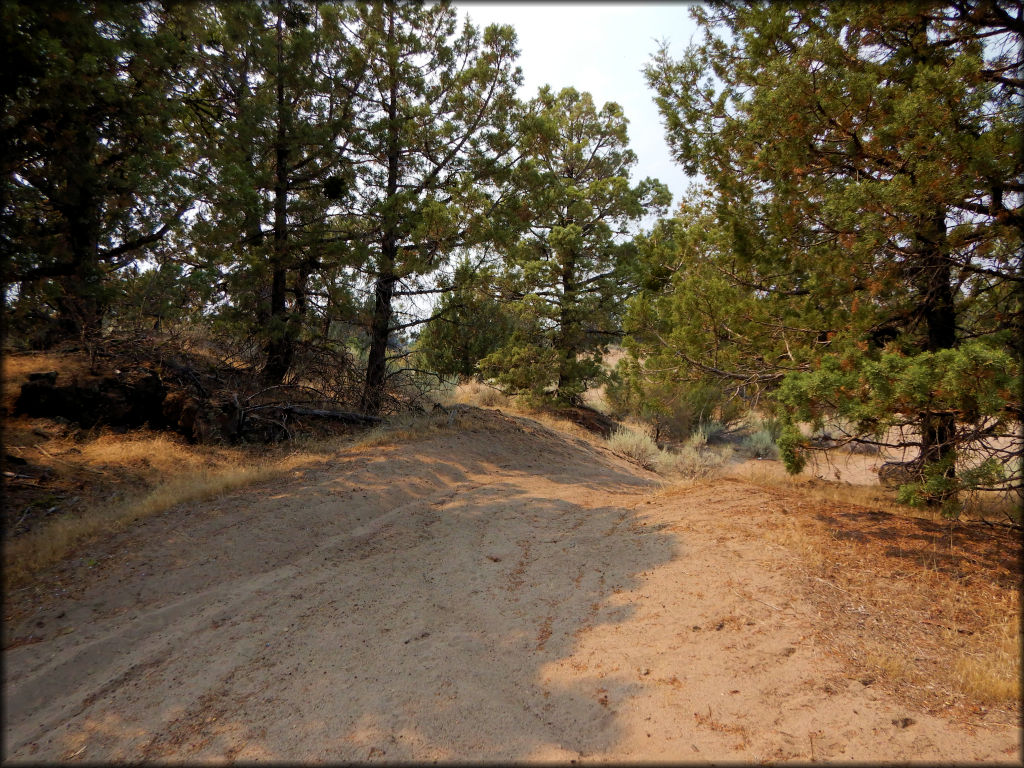 Juniper Flats OHV Area Trail