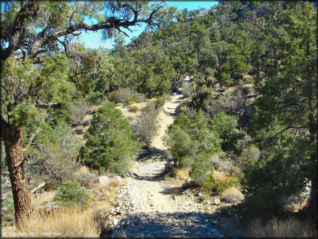 Some terrain at Big Bear Lake Trail