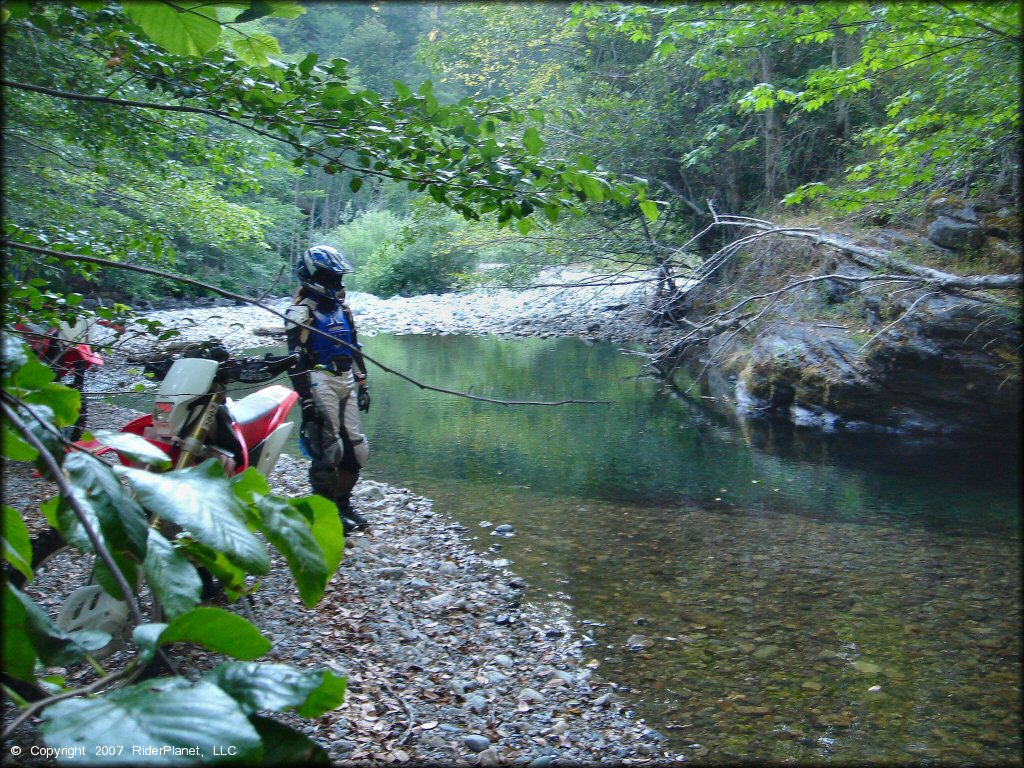 Honda CRF Dirt Bike at Lubbs Trail