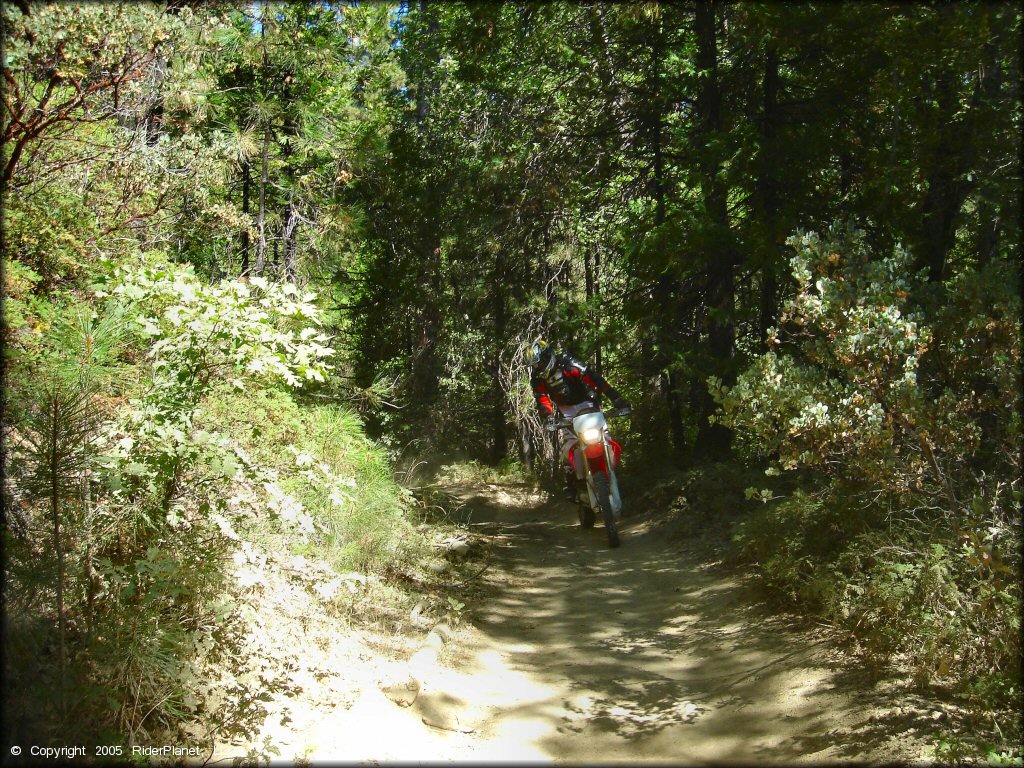 Honda CRF Dirt Bike at Miami Creek OHV Area Trail