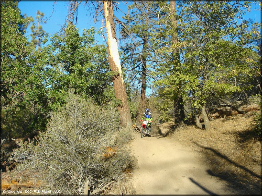 Honda CRF Motorcycle at Lake Arrowhead Trail