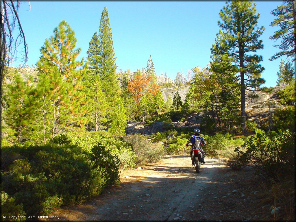 Honda CRF Dirtbike at Indian Springs Trail