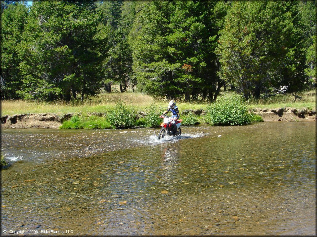 Honda CRF Dirt Bike traversing the water at Lower Blue Lake Trail