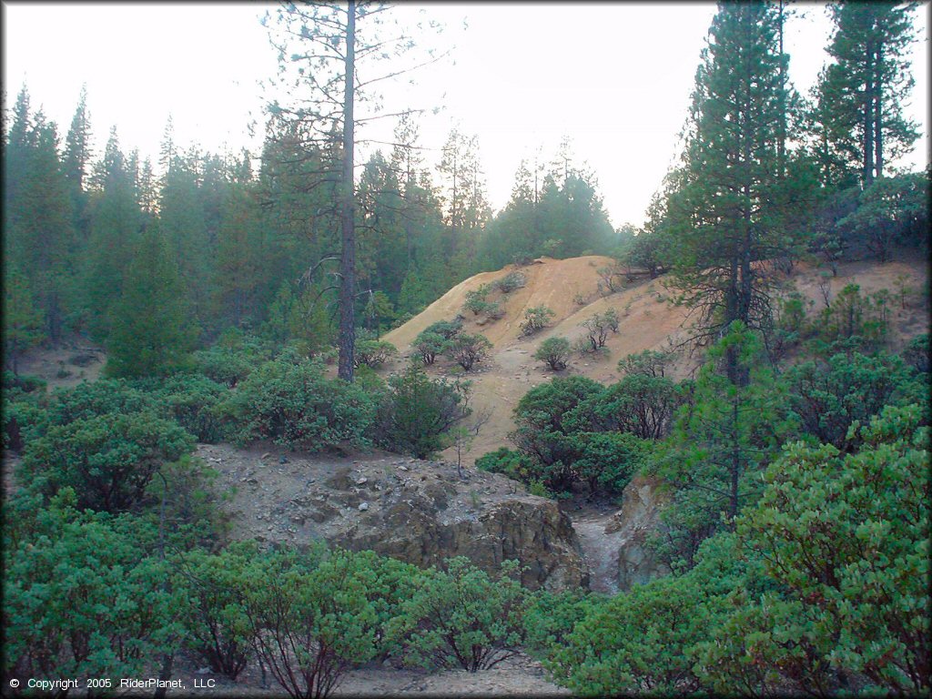 Scenery at Greenhorn Trail