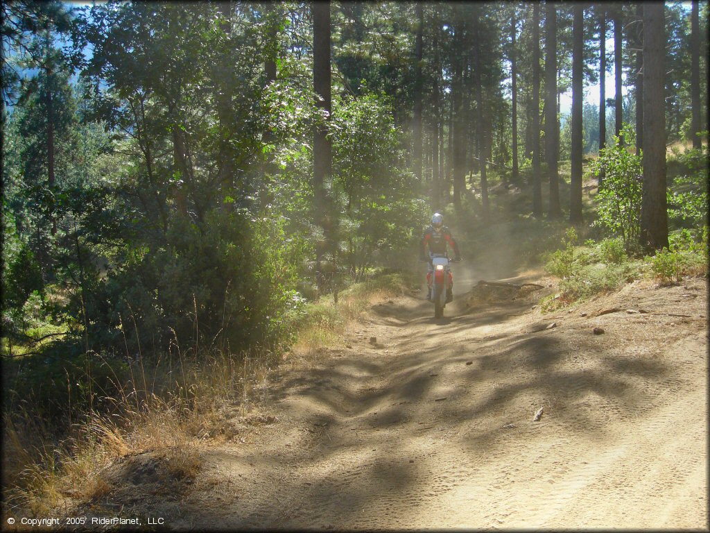 Honda CRF Trail Bike at Miami Creek OHV Area Trail