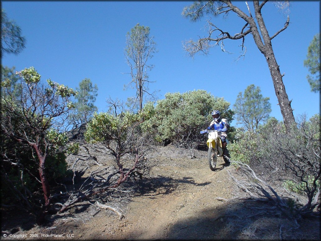 Rider on Suzuki RM-100 dirt bike on single track motorcycle trail.