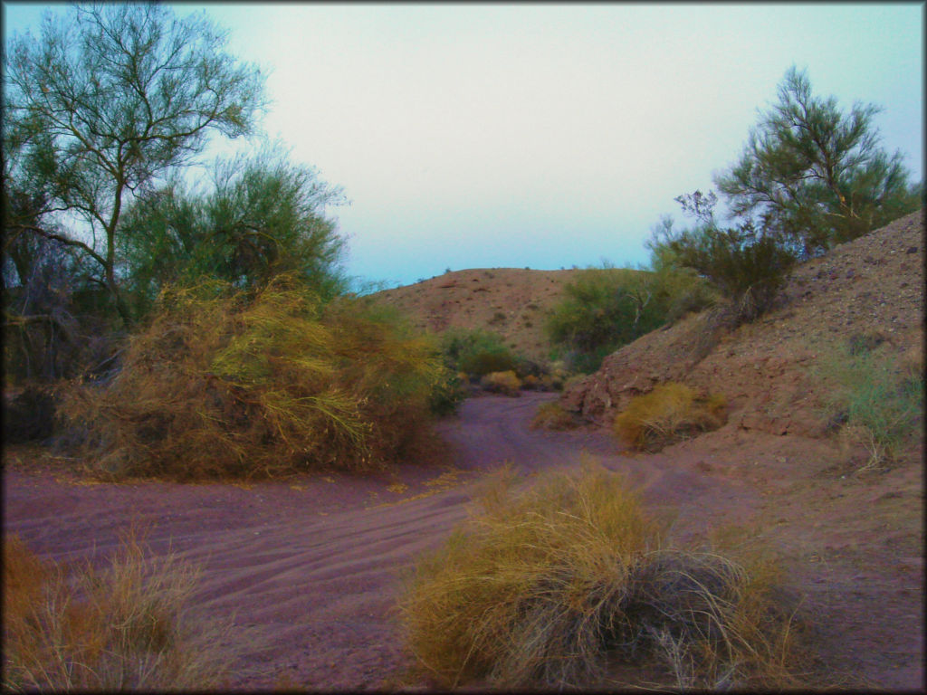 Crossroads OHV Area Trail