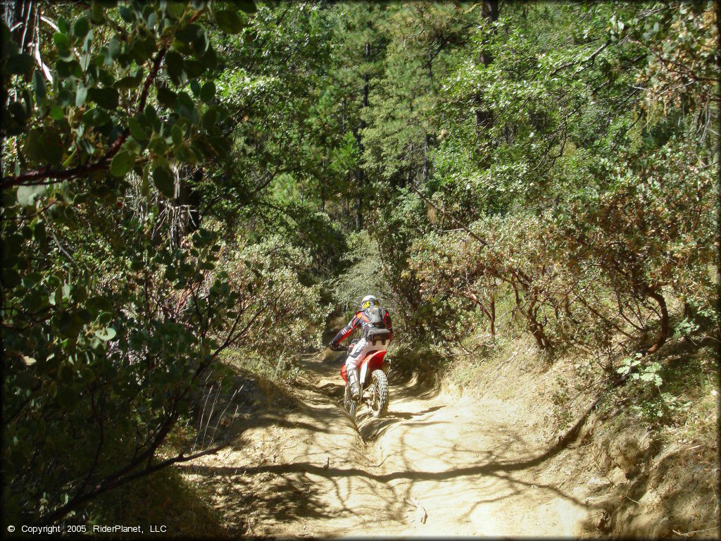 Honda CRF Dirt Bike at Miami Creek OHV Area Trail