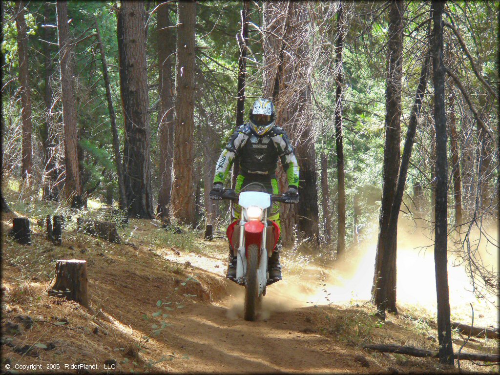 Honda CRF Motorcycle at Elkins Flat OHV Routes Trail