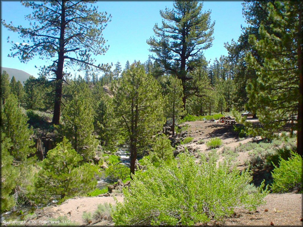 Scenic view of Mammoth Lakes Trail