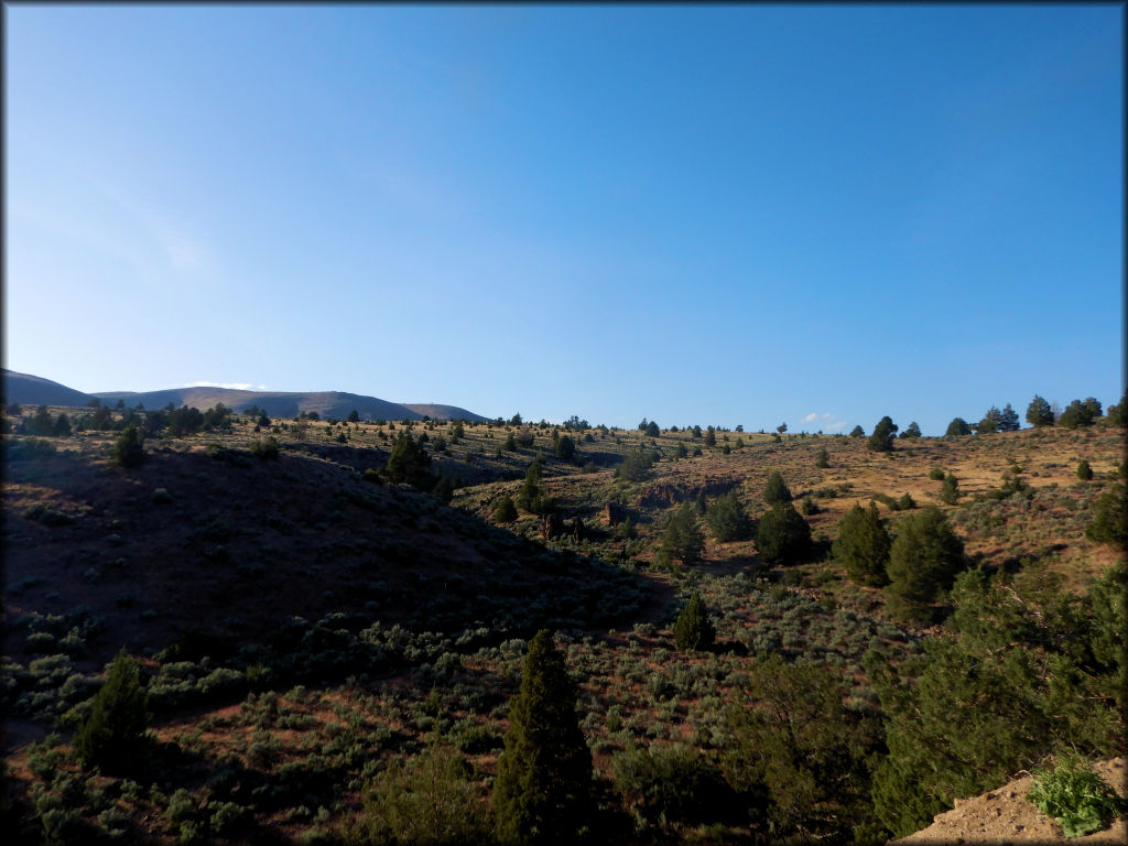 Rice Canyon OHV Area Trail