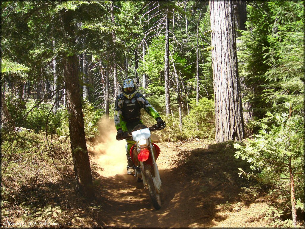 Honda CRF Motorcycle at Elkins Flat OHV Routes Trail