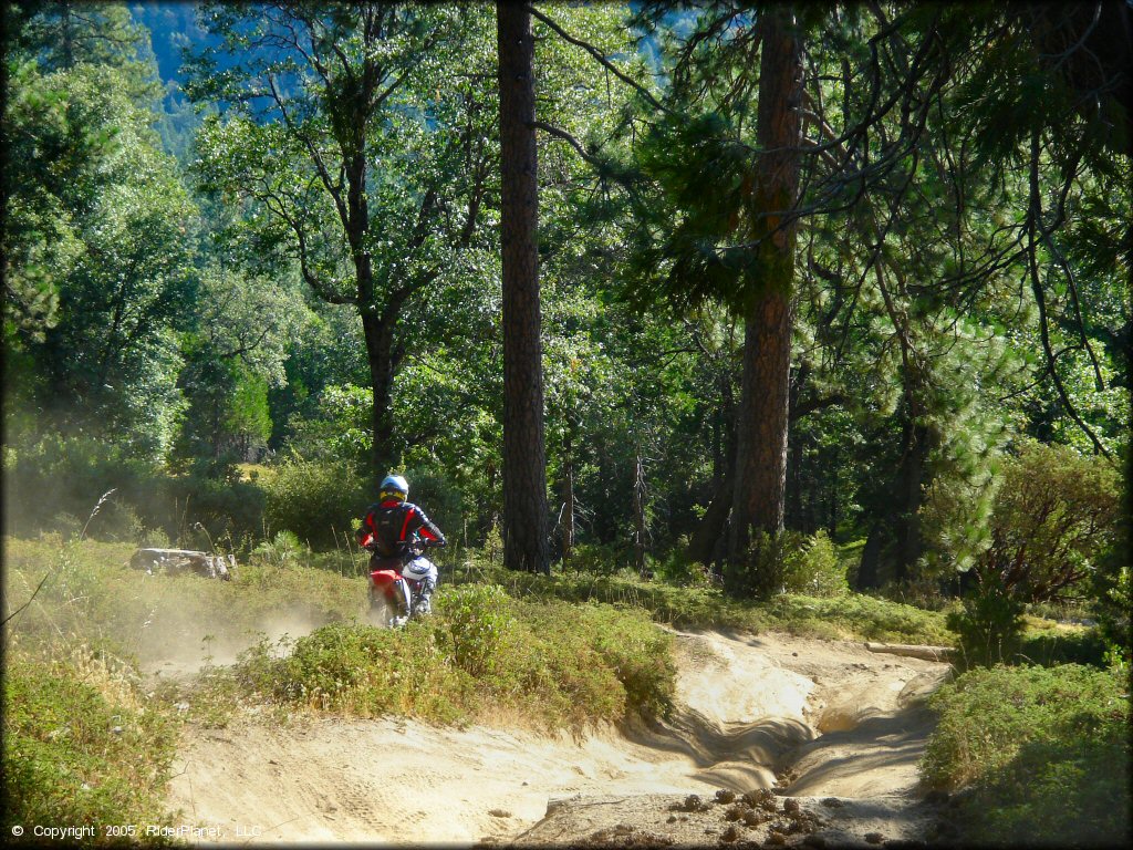 Honda CRF Motorcycle at Miami Creek OHV Area Trail