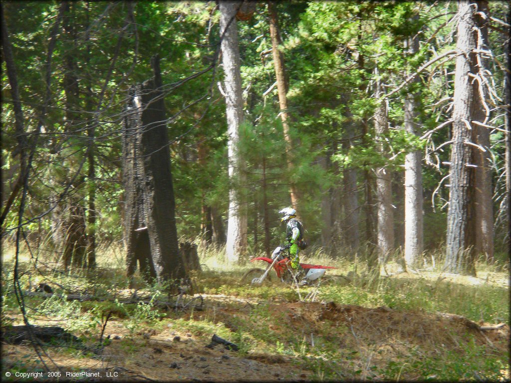 Honda CRF Dirt Bike at Elkins Flat OHV Routes Trail