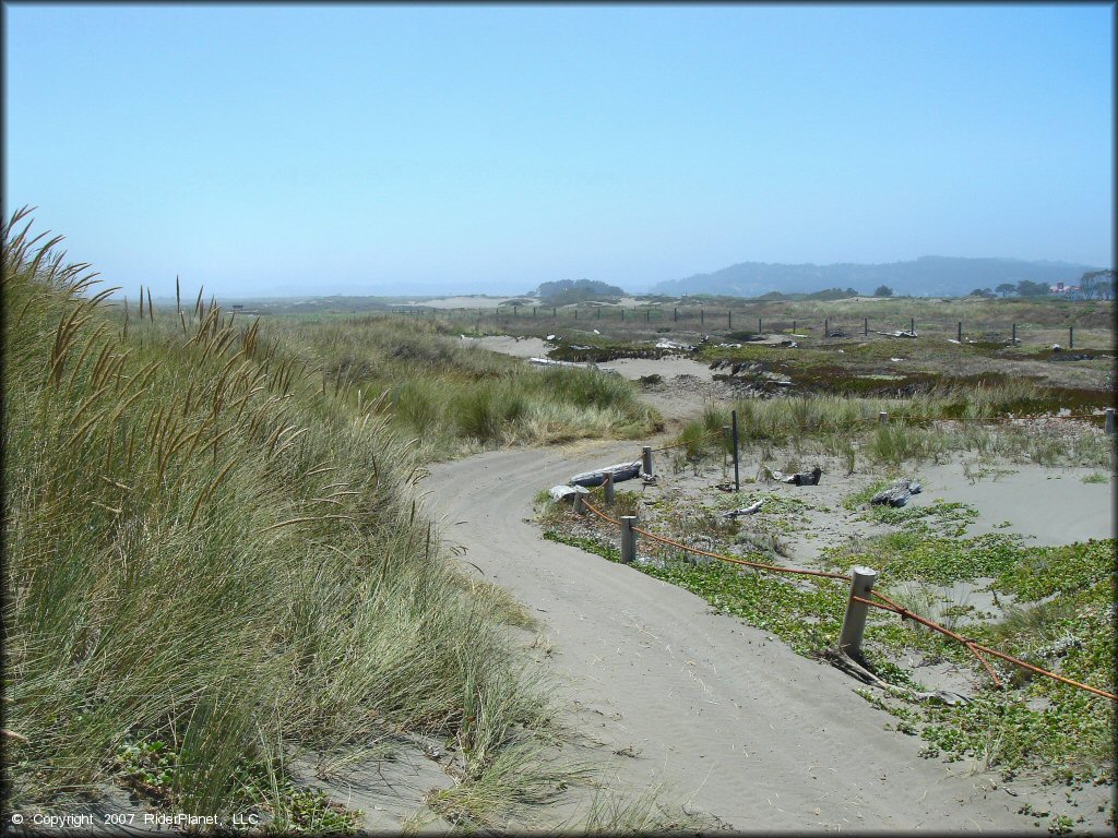 A trail at Samoa Sand Dunes OHV Area