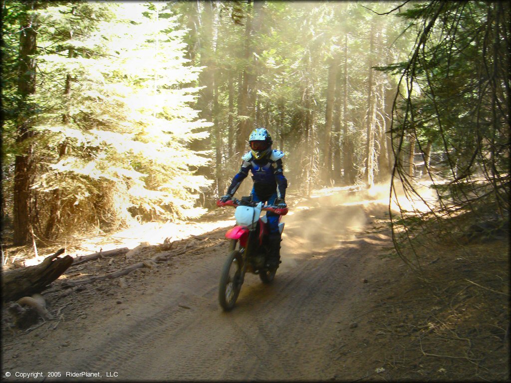 Honda CRF Motorbike at Gold Note Trails