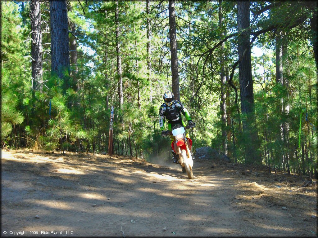 Honda CRF Motorbike at Gold Note Trails