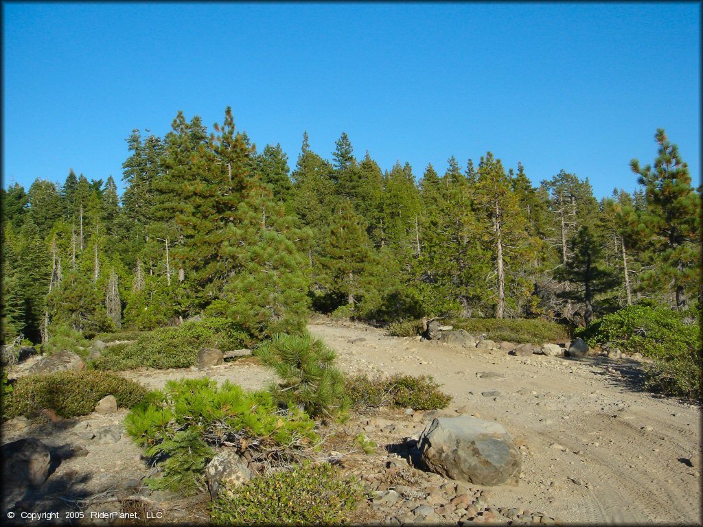 Some terrain at Black Springs OHV Network Trail