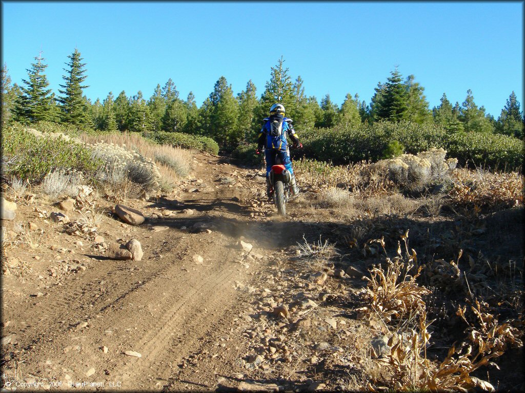 Honda CRF Motorcycle at Billy Hill OHV Route Trail