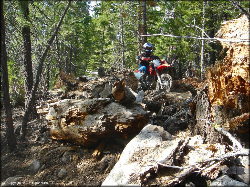 Honda CRF Off-Road Bike at Corral OHV Trail