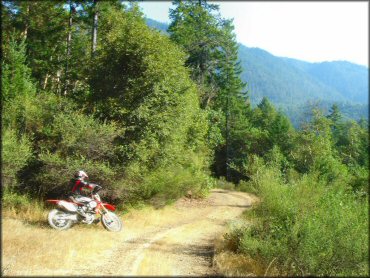 Honda CRF Dirtbike at Lubbs Trail