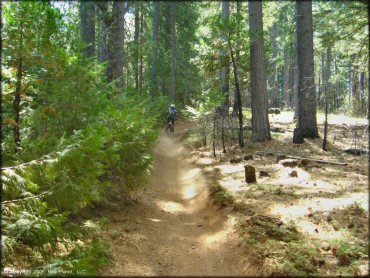 Honda CRF Dirt Bike at Elkins Flat OHV Routes Trail