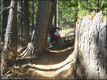 Honda CRF Dirt Bike at Corral OHV Trail