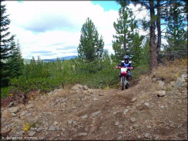 Honda CRF Motorcycle at Prosser Hill OHV Area Trail