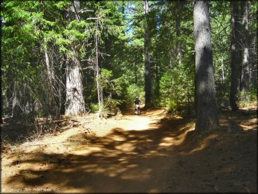 Honda CRF Dirt Bike at Elkins Flat OHV Routes Trail