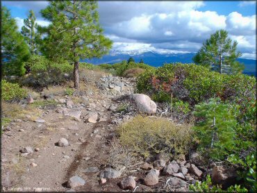 Terrain example at Prosser Hill OHV Area Trail