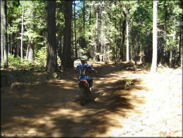 Honda CRF Dirt Bike at Gold Note Trails