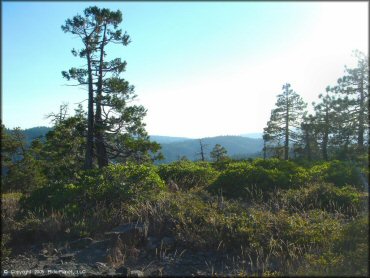 Scenic view of Black Springs OHV Network Trail