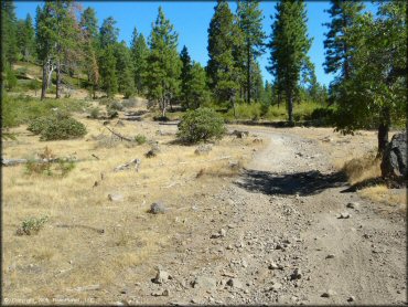 Example of terrain at Interface Recreation Trails