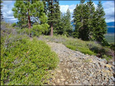 Prosser Hill OHV Area Trail