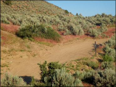 Rice Canyon OHV Area Trail