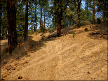 Humbug OHV Area Trail