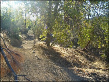 Terrain example at Lake Arrowhead Trail