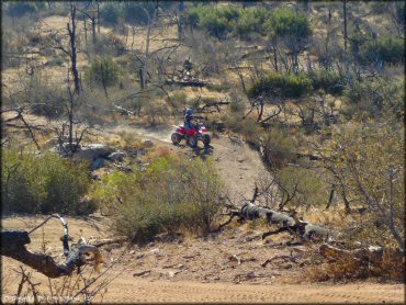 OHV at Dove Springs Trail