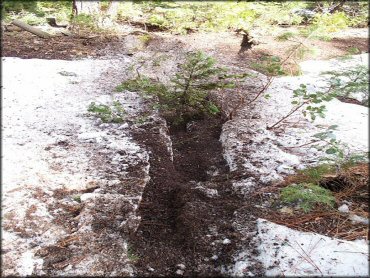 Some terrain at Crandall Peak And Deer Creek OHV Area Trail